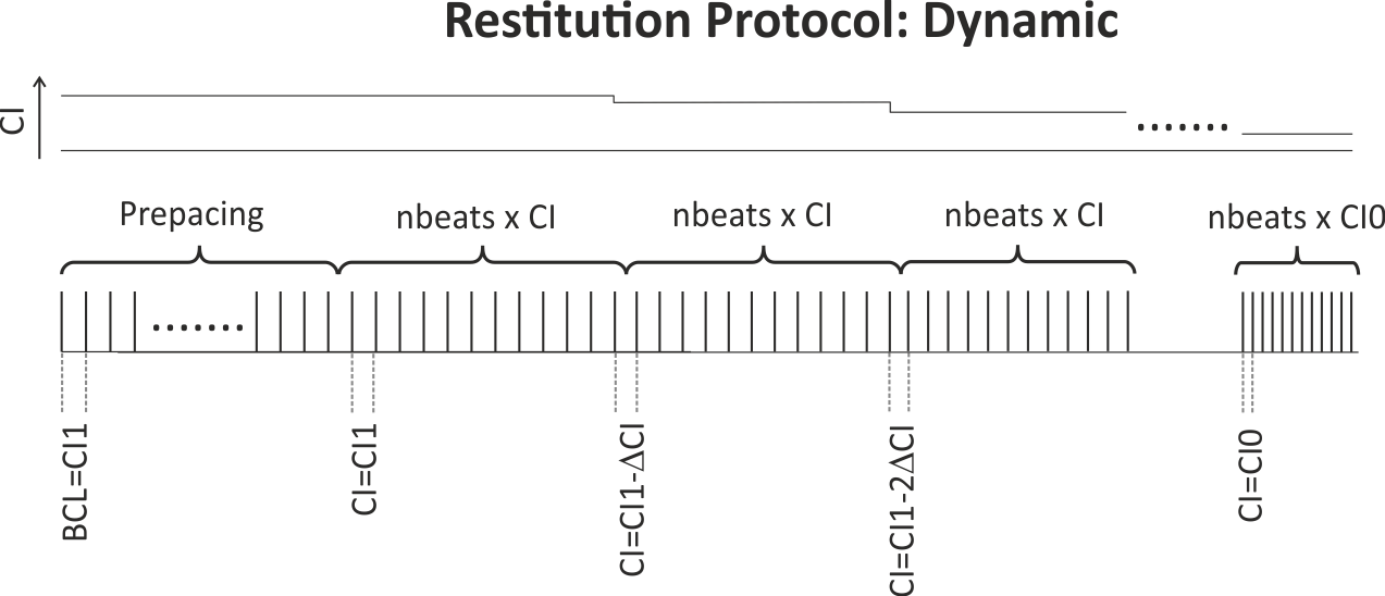 Illustration of the dynamic restitution protocol: Pacing (again after some prepacing phase or restarting from a stabilized checkpoint for a given BCL) starts with a train of nbeats stimuli at the longest CI of CI1. CI is decremented by CIinc after each pulse train until the minimum CI of CI0 is reached.