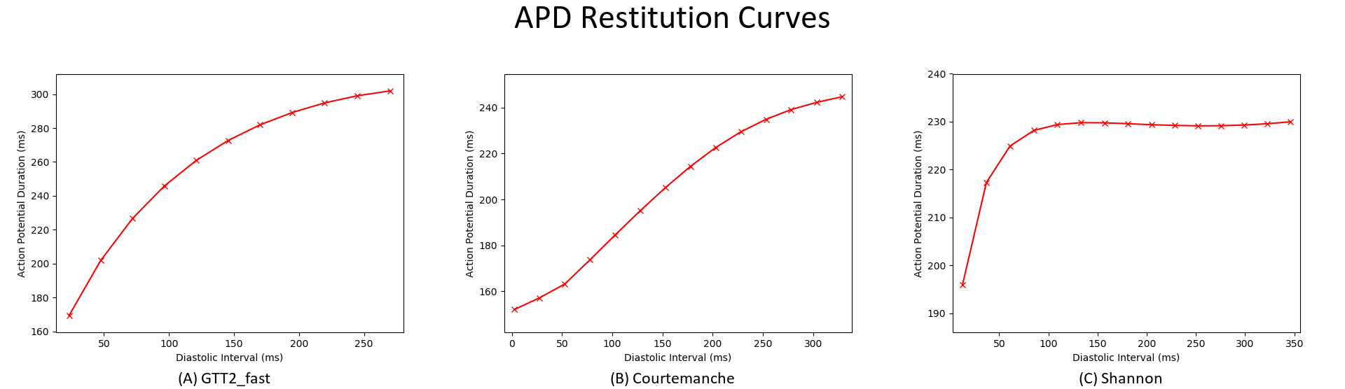 APD restitution