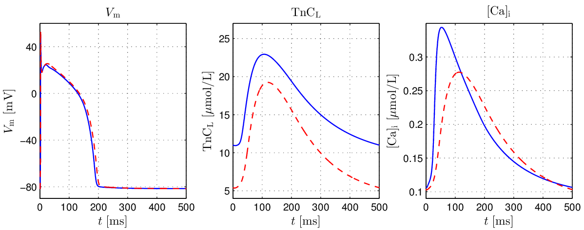 Comparison of V_{\mathrm{m}}, \mathrm{TnC}_{\mathrm{L}} and [\mathrm{Ca}_{\mathrm{i}}^{2+}] single cell traces between the GPB model (blue) and the GPB+LN model at steady state with \lambda=1 (red).