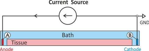 Shown is the standard setup for current stimulation. Current is injected through electrode A which acts as an anode hyperpolarizing tissue in its adjacency. Conversely, electrode B is used to withdraw current acting as a cathodal stimulus which depolarizes tissue in its adjacency.