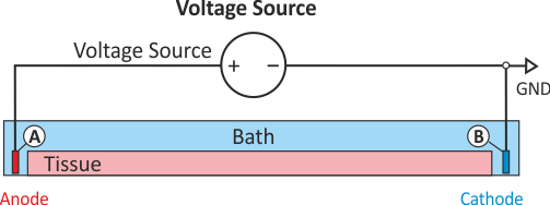 Standard setup for extracellular voltage stimulation. The positive terminal of the voltage source acts as an anode by prescribing the time course of extracellular potentials \phi_{\rm e}^{\rm p}(t). The grounded electrode connected with the negative terminal of the voltage source acts as a cathode`