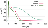 Ionic model parameter adjustment to match APD