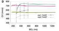 Conduction velocity restitution