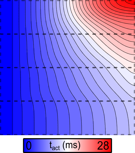 05b_cellular_dynamics_heterogeneity/02_05C_Conductive_Heterogeneity_Fig3_Decr-gNa.png