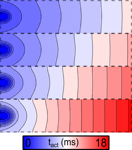 05b_cellular_dynamics_heterogeneity/02_05C_Conductive_Heterogeneity_Fig4_Incr-gNa+Split+NonPlanar.png
