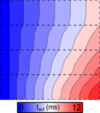 Heterogeneity: ionic model regions