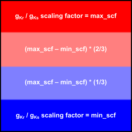 05c_regions_vs_gradients/02_05A_Regions_vs_Gradients_Fig1_RegionWiseGKr+GKs.png