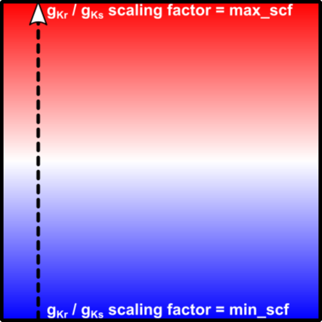 05c_regions_vs_gradients/02_05A_Regions_vs_Gradients_Fig2_GradientWiseGKr+GKs.png
