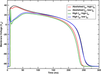 Heterogeneities: smooth gradients via nodal adjustments of ionic model parameters