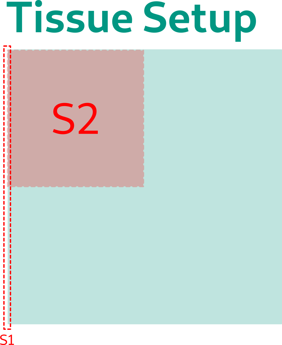 23_checkpoint/02_23_tissue-setup.png