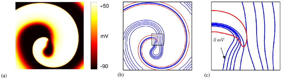 06_igbfilament/05_06_phase_singularity.png
