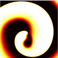 Phase singularities and filaments