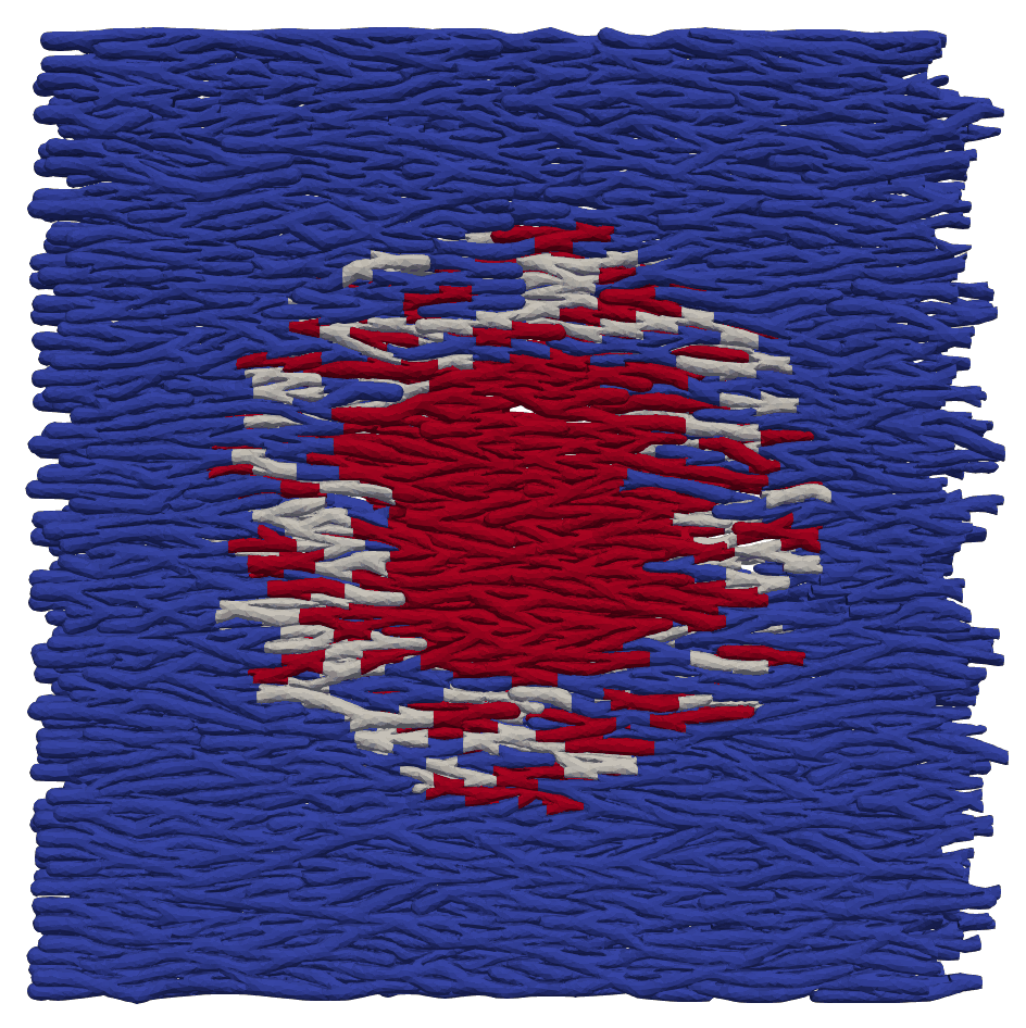 02_multi_ionics/07_02_regions.png