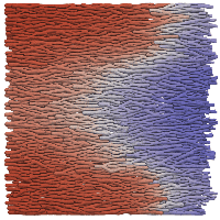 Multiple ionic models on a realistic geometry